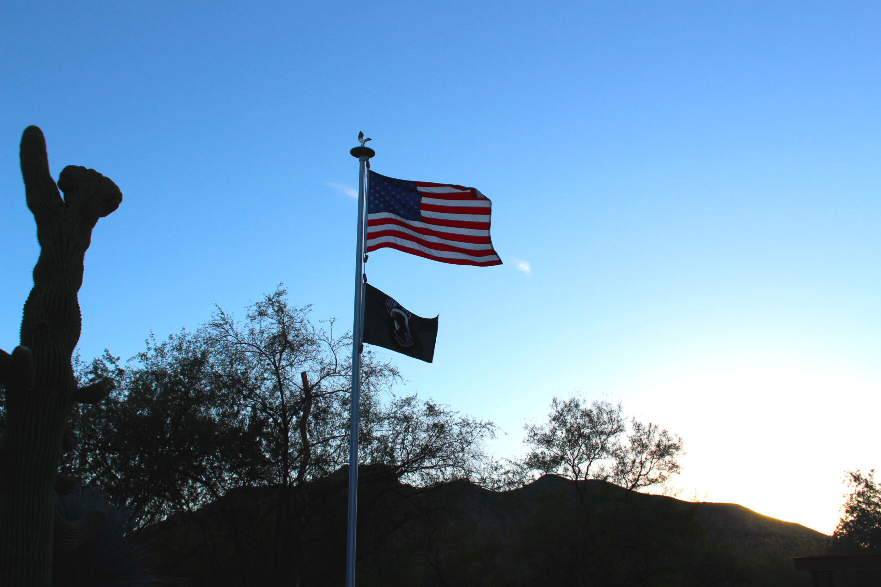 Carefree Veterans